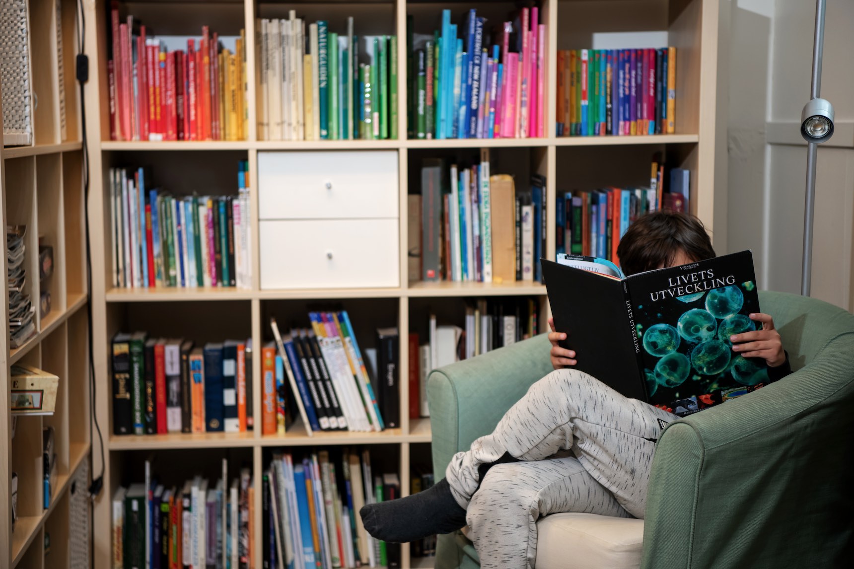 Ett barn som sitter i skolbiblioteket och läser en bok som heter Livets Utveckling.